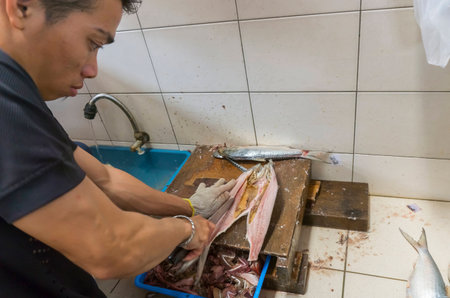 KUCHING, MALAYSIA - NOV 9: Men preparing Terubok Masin or salted Terubok fish at the Satok Wet Market in Kuching, Sarawak on November 9, 2014. Terubok (Tenualosa toli) is highly prized among Malaysians for its meat and eggsのeditorial素材