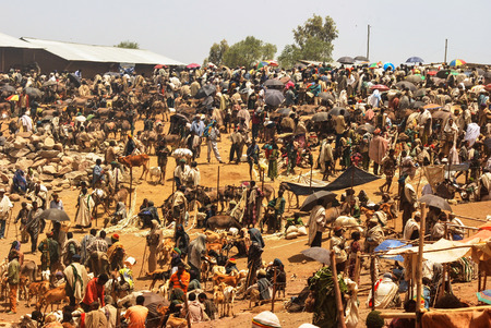 Lalibela, Ethiopia, 13th June 2009: Market scene, unidentified people tradingのeditorial素材