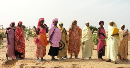 Tidjikja, Tagant, Mauritania, 15th October 2005: Women from agricultural cooperative posing for the cameraのeditorial素材