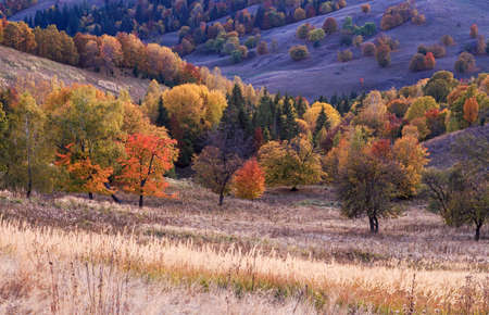 Transylvanian autumn dusk in the valley meadowの写真素材