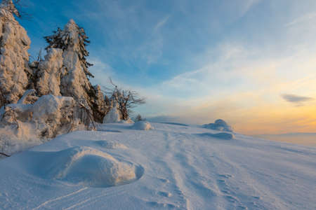 Winter landscape on a sunset in Carpathian mountains