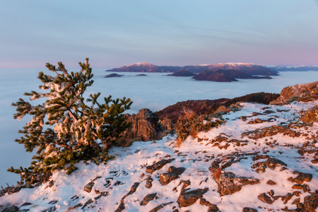 Above the clouds in the winter in the Cozia mountains in Romaniaの写真素材
