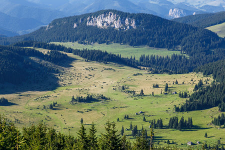 Beautiful summer landscape of green mountain meadow and peaks in the Carpathians. Romaniaの写真素材