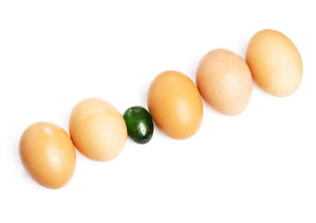 Emerald egg among ordinary brown eggsの写真素材