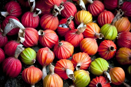 Image of colorful fruits.の写真素材
