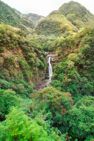 A waterfall surrounding by forest.の写真素材