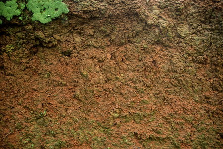 Close up of Dirt on the ground.の写真素材