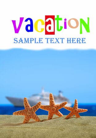 An image of vacation concept with elements of starfishsの写真素材