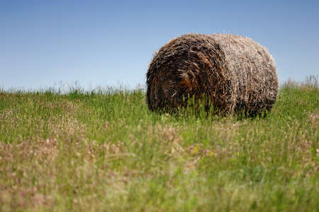 bale of hay on a field, blue skyの写真素材