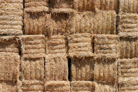 close up of stacked bales of hay
