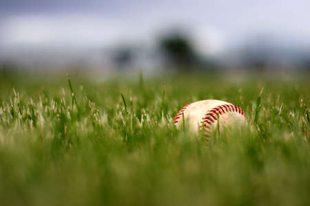 used baseball lost in the grass, after the gameの写真素材