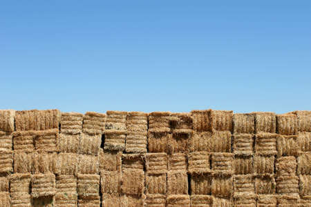 a wall of hay bales against a blue skyの写真素材