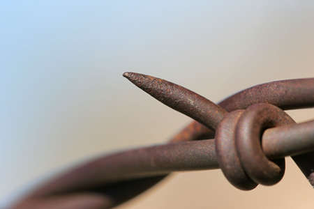 barbed wire - abstract macro, shallow depth of fieldの写真素材