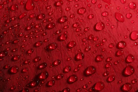 rose petal droplets - macro of water droplets on a red rose petal, shallow depth of fieldの写真素材