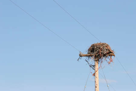 large bird nest on utility poleの写真素材