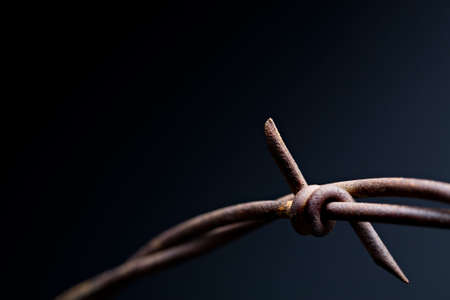 barbwire macro on black, rusty with shallow dofの写真素材