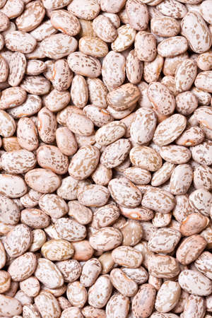 beans background - abstract closeup of pinto beansの写真素材