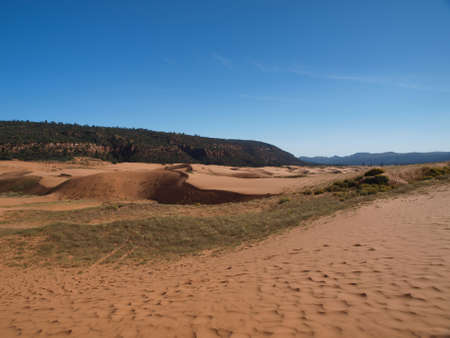 Views of Coral Pink Sand Dunes State Park in southern Utah.の写真素材