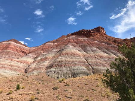 Scenic views of Paria Canyon-Vermilion Cliffs Wilderness in southern Utah near Kanab, Utah.の写真素材