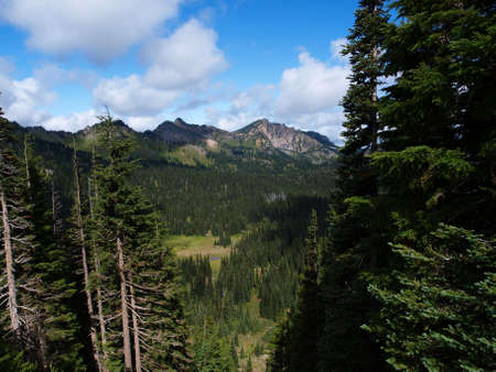 Scenic views of Mount Rainier National Park in Washington State.の写真素材