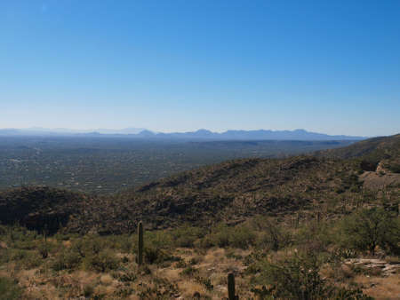 Scenic views of Saguaro National Park in Arizona.の写真素材