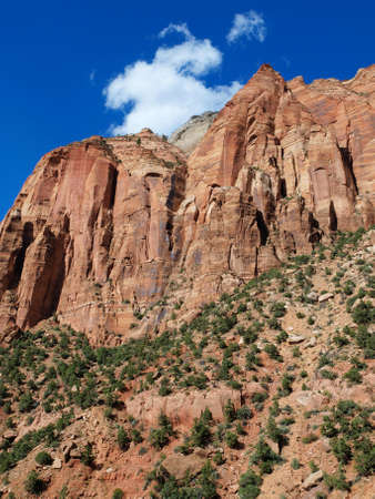 Scenic views of Zion National Park in Utah.の写真素材