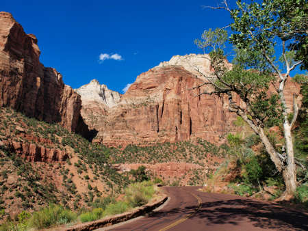 Scenic views of Zion National Park in Utah.の写真素材