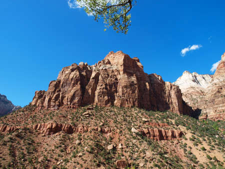 Scenic views of Zion National Park in Utah.の写真素材