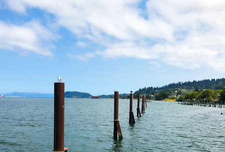 Scenic views of an Oregon coast road trip.の写真素材
