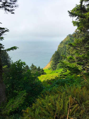 Scenic views of an Oregon coast road trip.の写真素材
