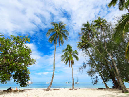 Beach views of the French Polynesian island of Moorea.の写真素材