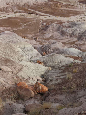 Blue Mesa overlook in the Petrified Forest National Park in Arizona.の写真素材