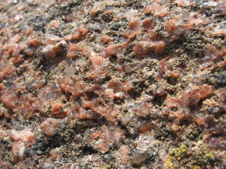 interesting texture of the stone