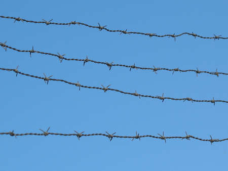 a barbed wire with light blue sky in the backgroundの写真素材