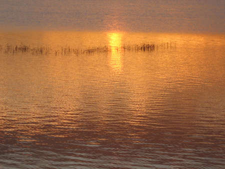 light reflections in the waterの写真素材