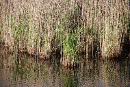 Water ladscape