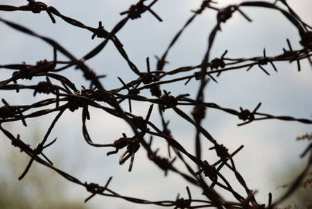 Barbed wireの写真素材
