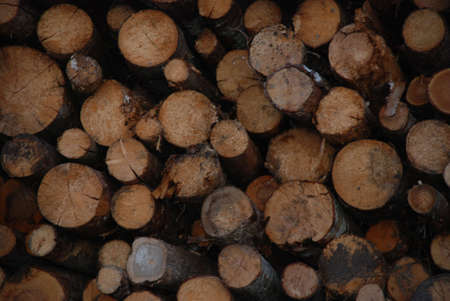 firewoods