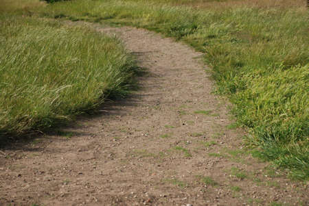 path in the grassの写真素材