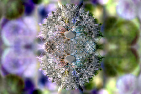 symmetric abstract designの写真素材