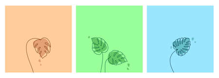 Multicolored vector set of monstera deliciosa leavesのイラスト素材