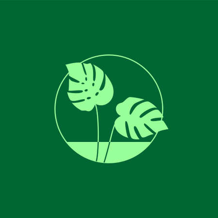 Monstera deliciosa leaves round logo on a dark green backgroundのイラスト素材