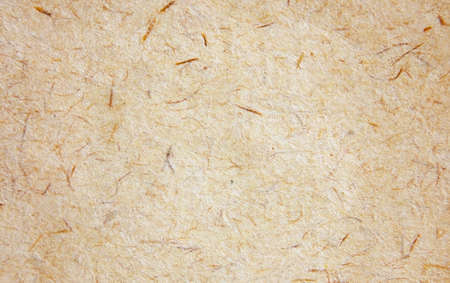 Light brown fibrous kraft paper texture close up