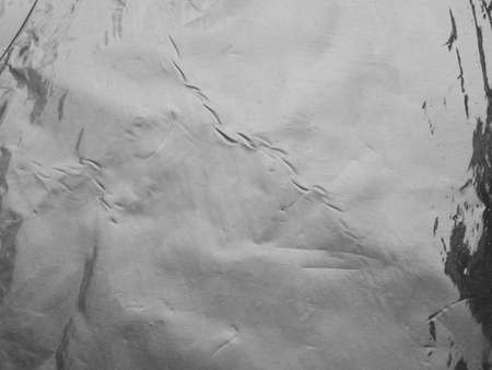 Silver metallic crumpled foil texture backgroundの写真素材