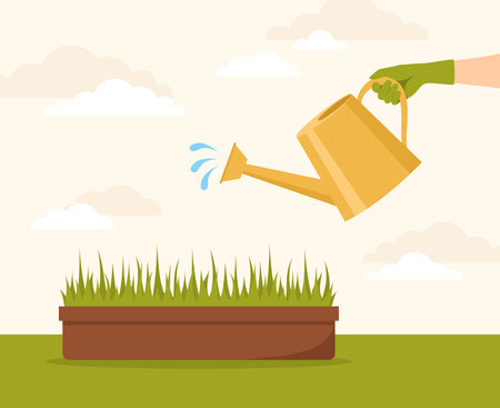 A hand in a rubber glove watering a seedling in a box from a watering can. Flat vector illustrationのイラスト素材