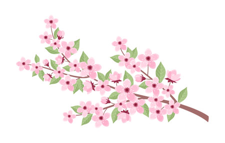 Pink cherry tree branch with flowers, buds and leaves isolated on white background. Vector illustration of sakura branch in flat styleのイラスト素材