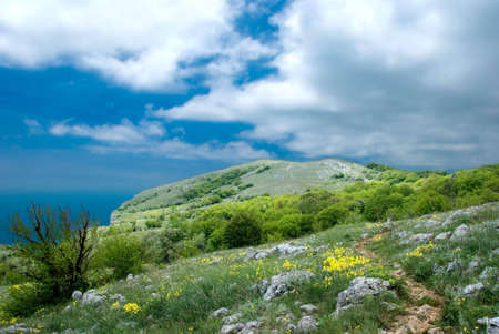 Mountain roadの写真素材