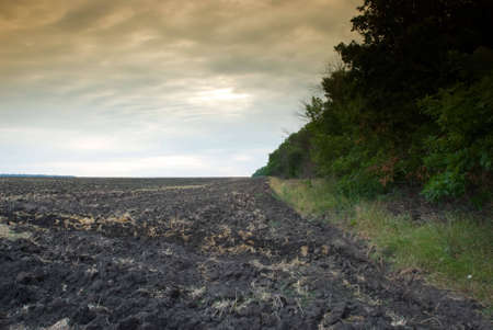 Fallow farming field in the autumnの写真素材