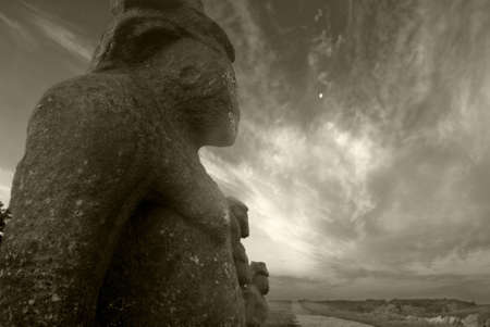 Petrified faceの写真素材