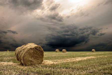 Haystack on the meadow with the dramatic skyの写真素材